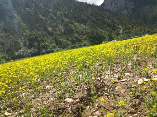 FNC主教练接受采访谈对管理层不满：这和当初给我的承诺不同