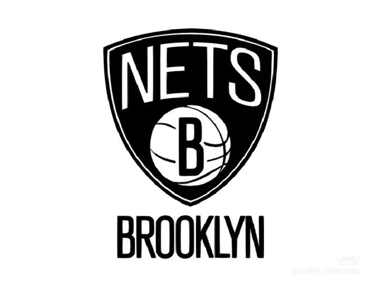 篮网的作用,（篮网指的是）