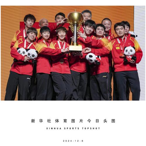 乒乓球中国世界冠军,（乒乓球中国世界冠军是谁）