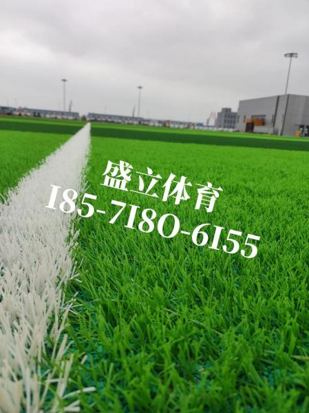 足球场需要多少钱,（足球场大概多少钱）