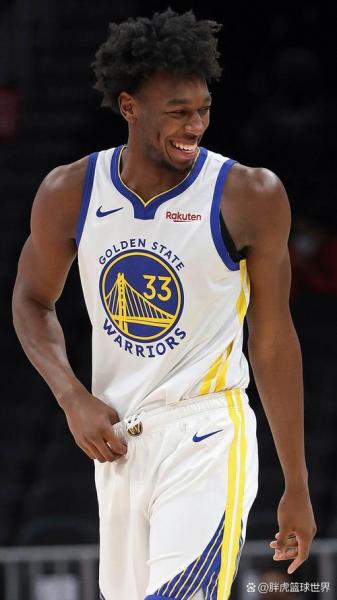 詹姆斯怀斯曼身高臂展,（詹姆斯怀斯曼身高臂展臂长）