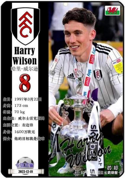 利物浦愿意免签哈里威尔逊 球员还没有与富勒姆续约