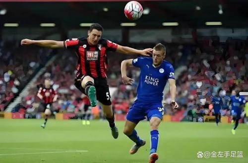 英超伯恩茅斯VS布伦特福德预测分析 布伦特福德历史对赛拥有绝对优势