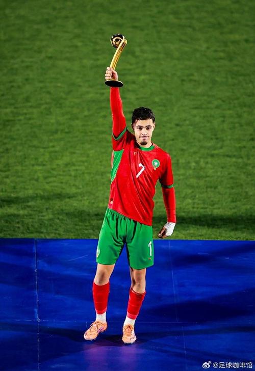 摩洛哥功勋主帅突然宣布离任 距离世界杯不足100天