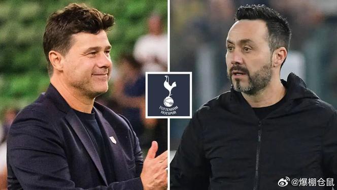 热刺考虑引进德泽尔比 德泽尔比愿执教热刺