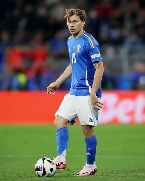 媒体：世界杯不能再没有那一抹“蓝” 意大利将对阵波黑