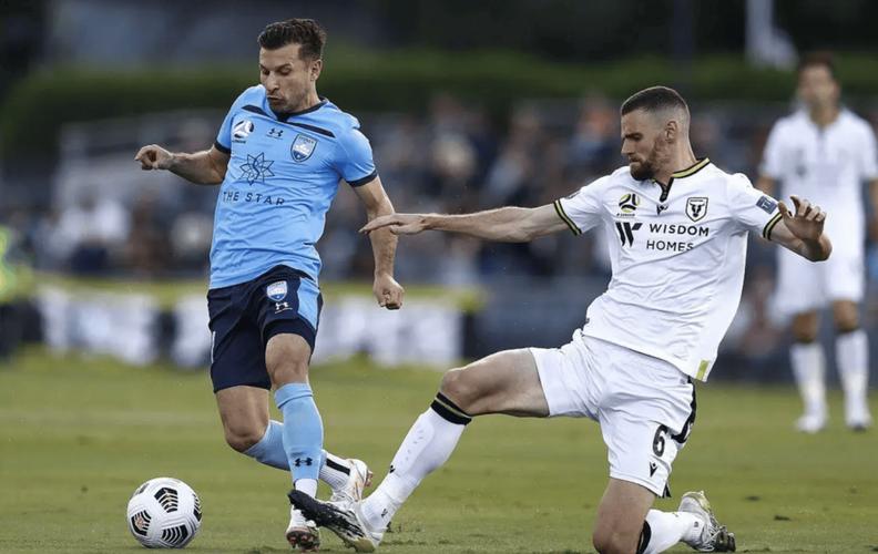 澳超布里斯班狮吼VS悉尼FC比分预测 反客为主