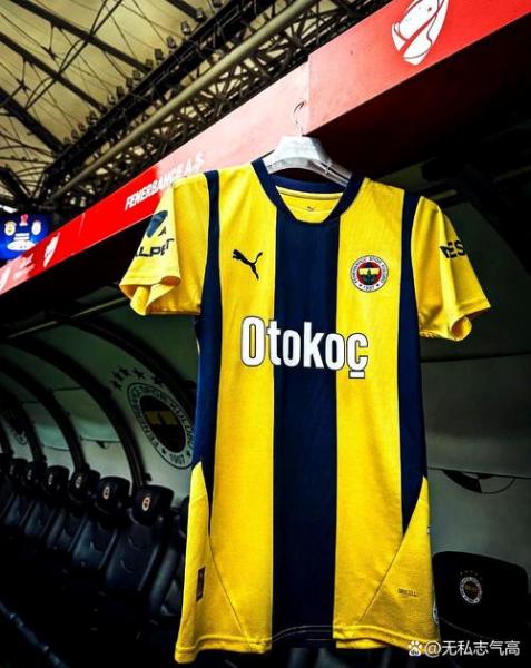 费内巴切有意维萨 纽卡新援新赛季表现一般