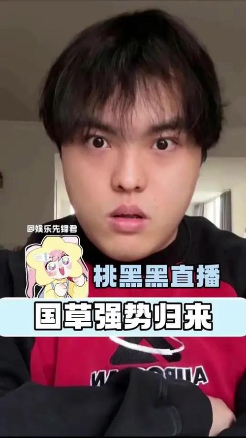 桃黑黑发文道歉：Ban队友预选英雄，补偿未来一年所有皮肤