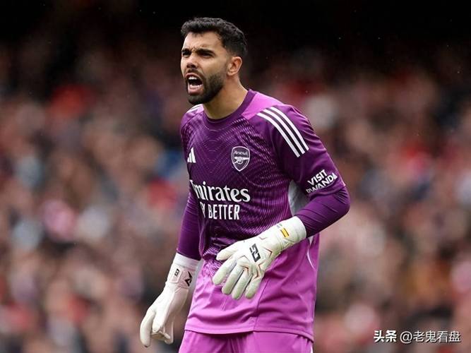 拉亚当选阿森纳客战葡体全场最佳 枪手门将力保球门不失