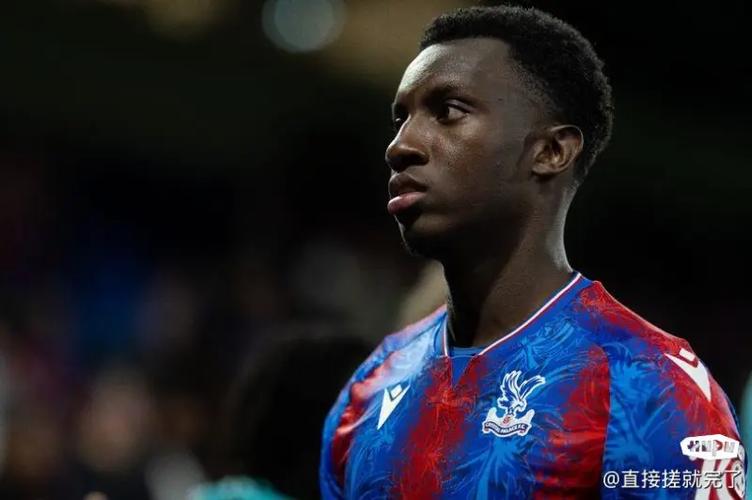 恩凯蒂亚遭遇腿筋伤势 球员无缘本赛季剩余赛事