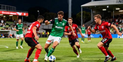 澳超阿德莱德联vs麦克阿瑟FC预测 阿德莱德联整体表现更加稳定